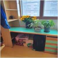 다처리 PC 갤러리 11